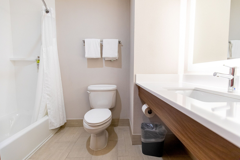 Bathroom 3, Holiday Inn Express JOHNSON CITY by IHG, Washington