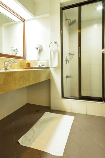 Bathroom 4, AIM Conference Center Manila, Makati City