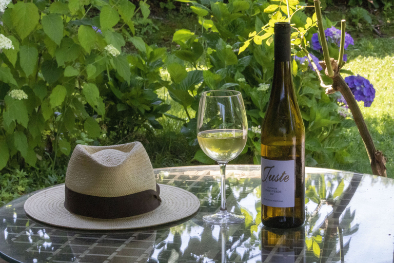 Food & Drinks 5, Casa de Juste - Lousada, Lousada