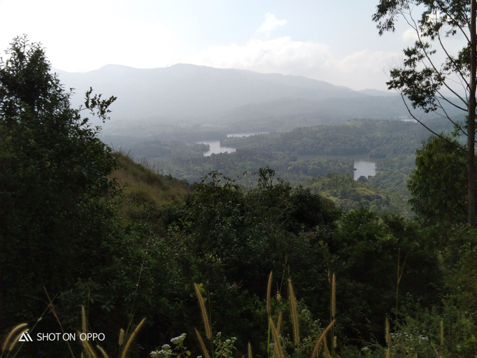 Others 5, Lake View Camp, Idukki