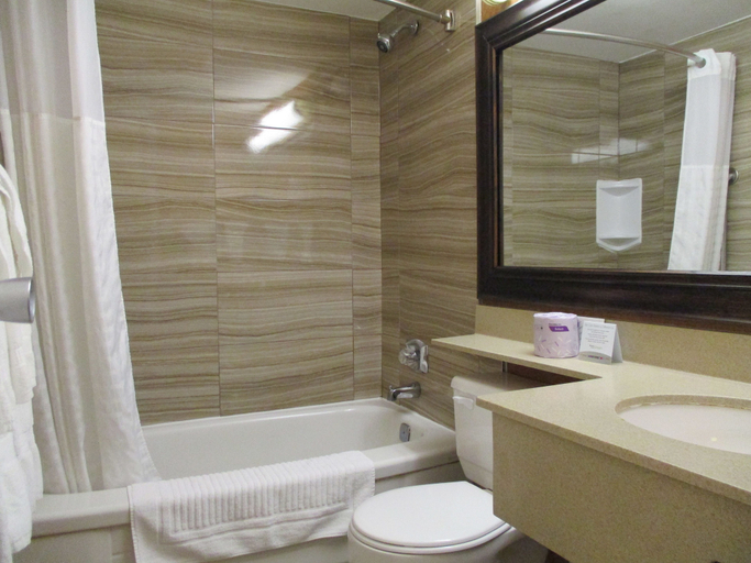 Bathroom 5, Comfort Inn Dartmouth, Halifax