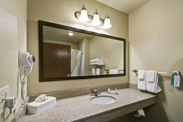 Bathroom 5, Cobblestone Hotel & Suites – Pulaski/Green Bay, Brown