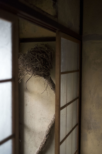 Others 5, A day in khaki khaki Guesthouse, Kyoto