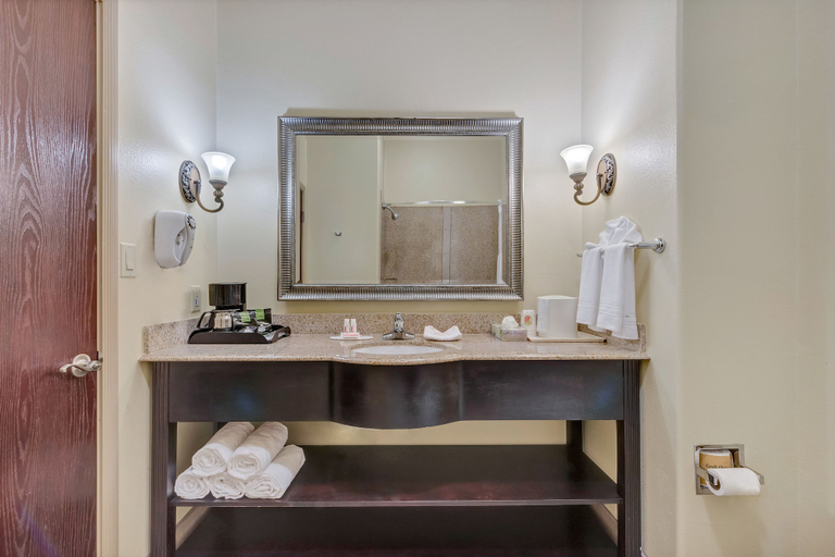 Bathroom 3, Super 8 by Wyndham Hidalgo/McAllen Area, Hidalgo
