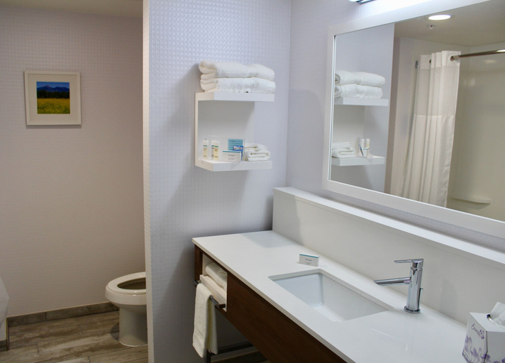 Bathroom 4, Hampton Inn & Suites Flagstaff East, Coconino
