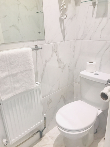 Bathroom 5, Dergvale Hotel, Dublin