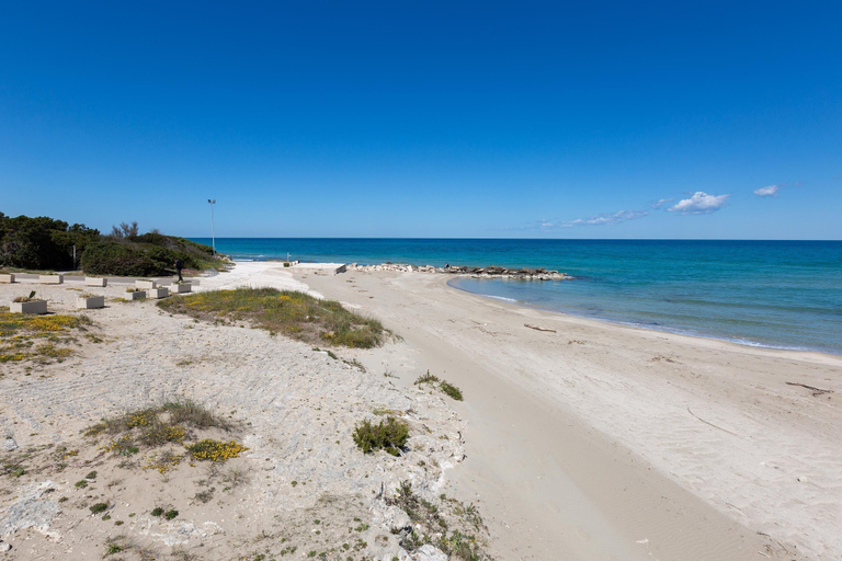 Others 5, 2324 Villa Milhouse by Perle di Puglia, Brindisi