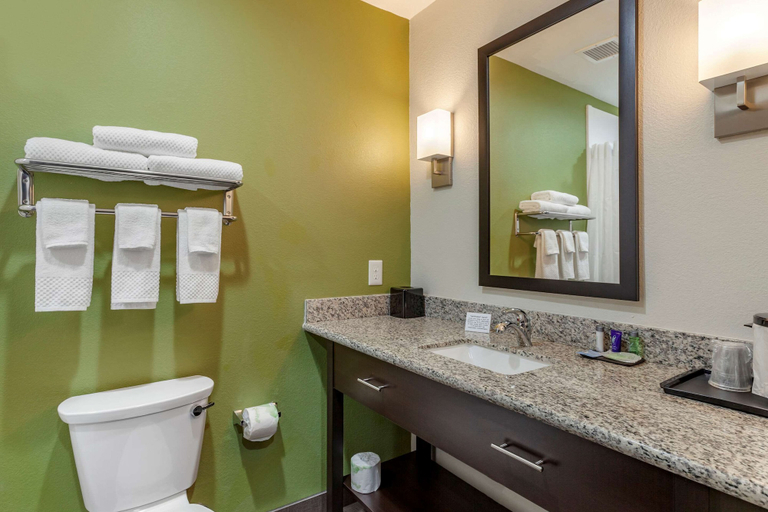 Bathroom 4, Sleep Inn & Suites Waller, Houston