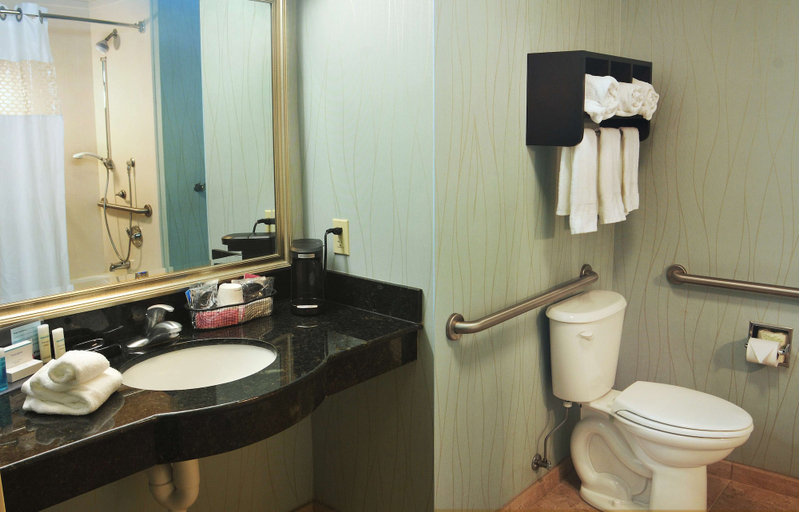 Bathroom 5, Hampton Inn Gadsden/Attalla I-59, Etowah