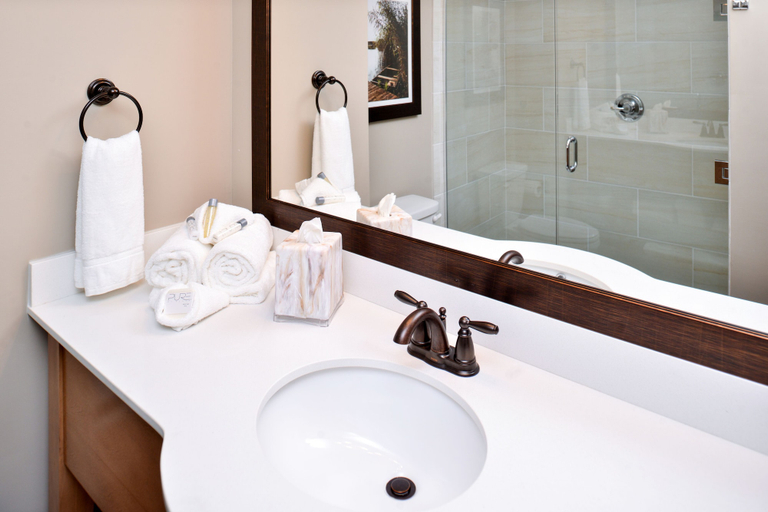 Bathroom 4, Appomattox Inn and Suites, Appomattox