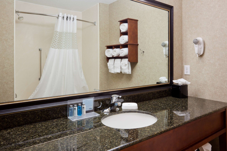 Bathroom 3, Hampton Inn Mitchell, Davison