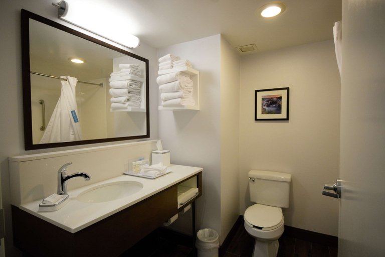 Bathroom 4, Hampton Inn Salem East - Electric Road, Salem