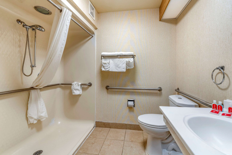 Bathroom 5, Econo Lodge North Academy, El Paso