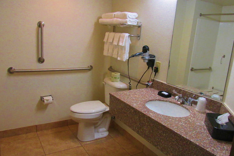 Bathroom 5, Crystal Springs Inn and Suites, Bradford