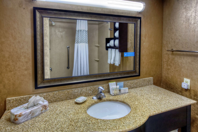 Bathroom 4, Hampton Inn Tullahoma, Coffee