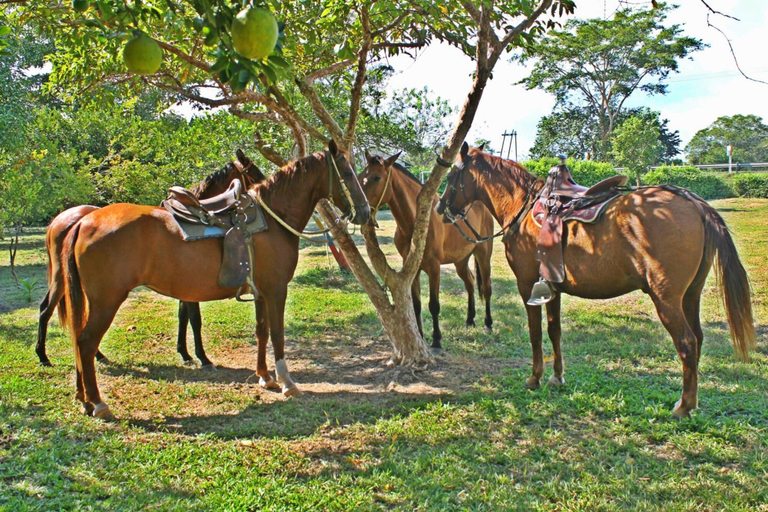 Others 5, Hotel San Basilio de Palenque, Mahates
