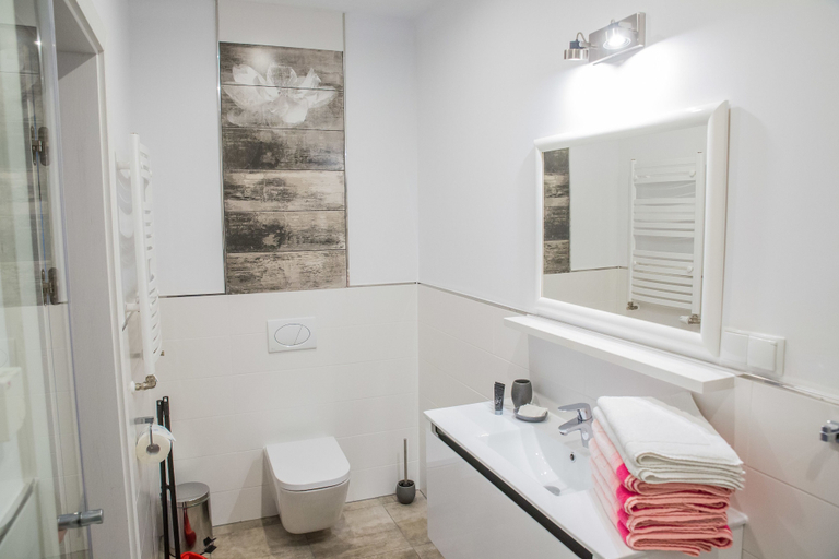 Bathroom 3, Apart Harmony, Puck