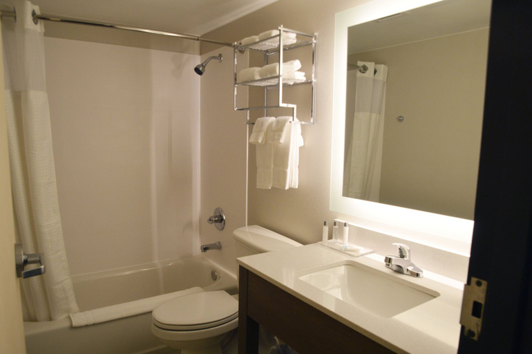 Bathroom 4, Fun City Resort Hotel, Des Moines