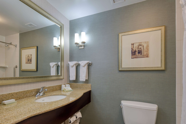 Bathroom 4, Hilton Garden Inn Durham Southpoint, Durham