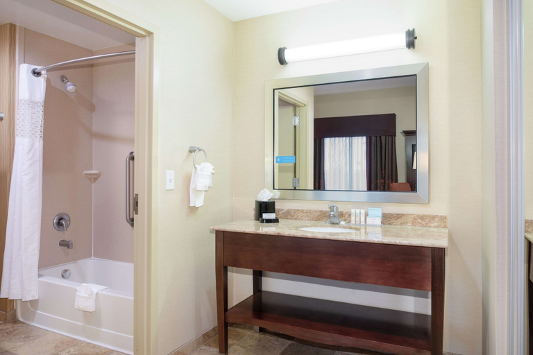 Bathroom 4, Hampton Inn & Suites Denver/South-RidgeGate, Douglas