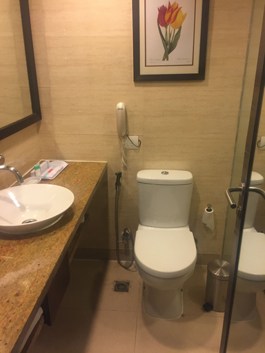 Bathroom 5, Four Points by Sheraton Vadodara, Vadodara