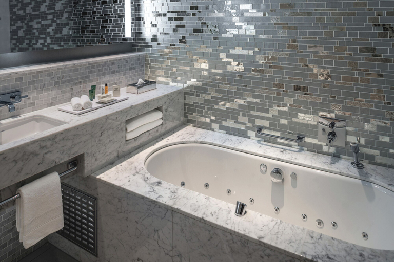 Bathroom 4, Hilton Saint Petersburg Expoforum, Sankt-Peterburg gorsovet