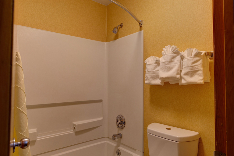 Bathroom 5, Deluxe Inn Fayetteville - I-95 Exit 49, Cumberland