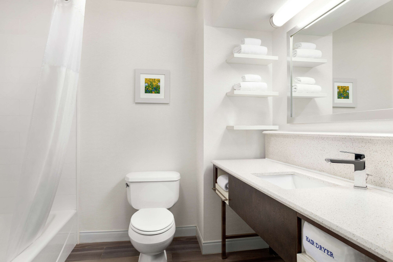 Bathroom 4, Hampton Inn Paris, Lamar