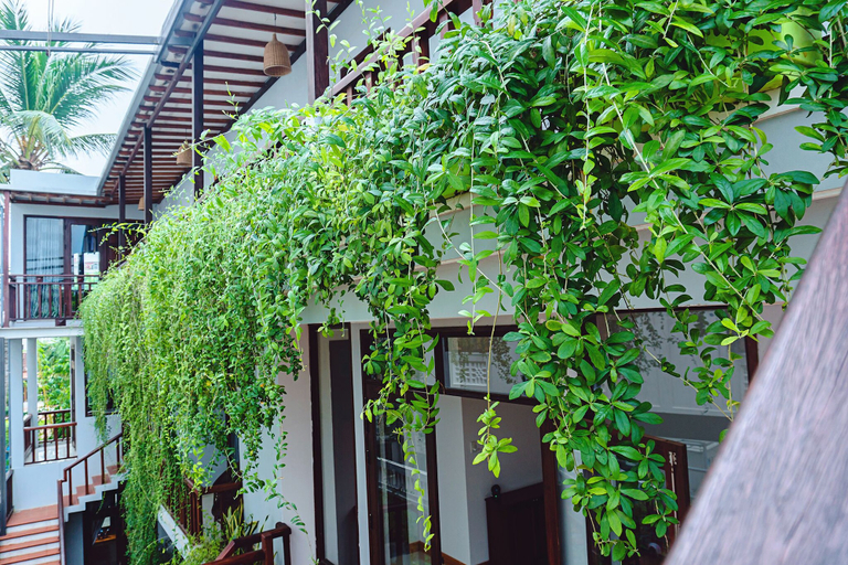Others 5, Riverside Plum Garden Homestay, Da Nang