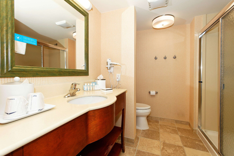 Bathroom 4, Hampton Inn Montrose, Montrose