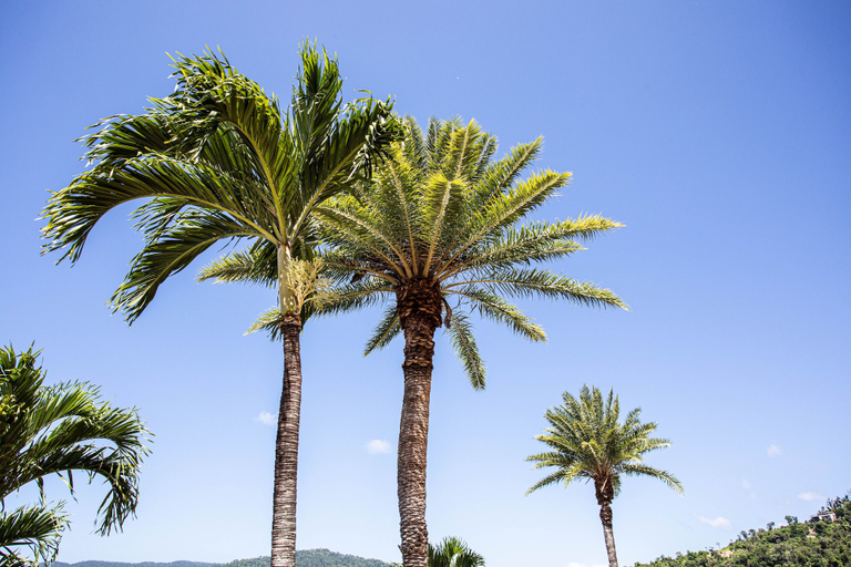 Others 5, 9 Starview Apartments, Whitsunday