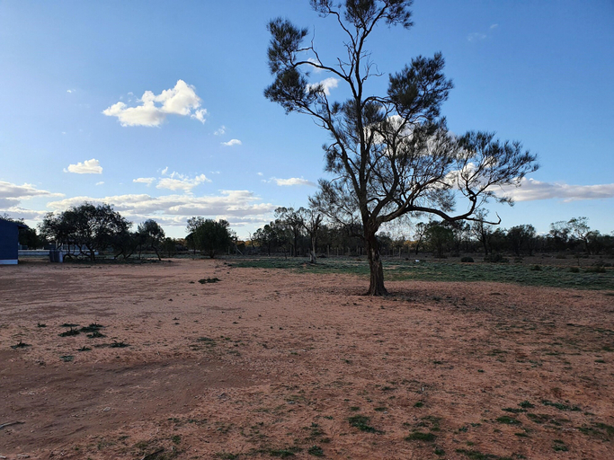 Others 5, Mungo Roo, Wentworth