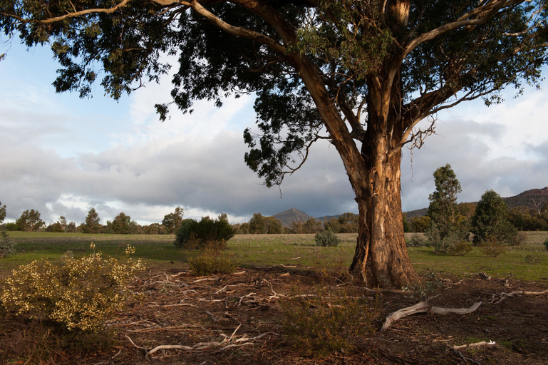 Others 5, Boroka Downs, Ararat