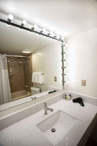 Bathroom 4, The Business Inn, Ottawa