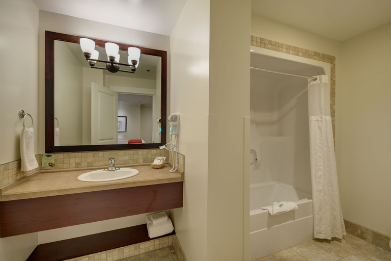 Bathroom 4, Strathcona Hotel, Capital
