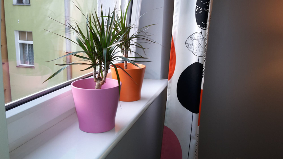 Others 5, Apartamenty Sedinum, Szczecin