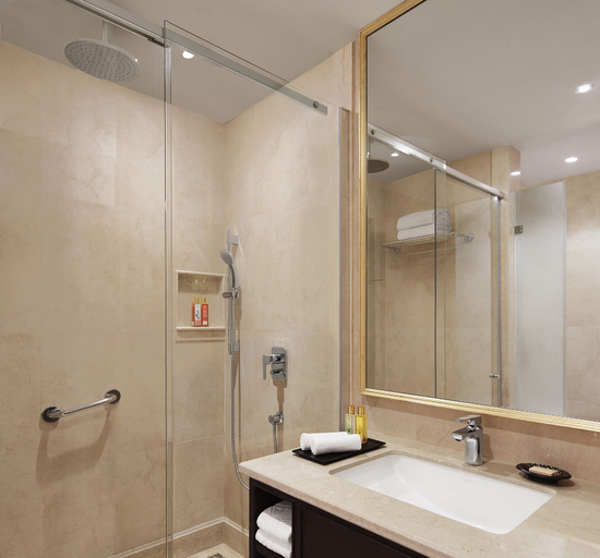 Bathroom 4, Taj Tirupati, Chittoor