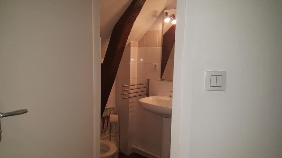 Bathroom 3, Au Pigeon Blanc, Mayenne