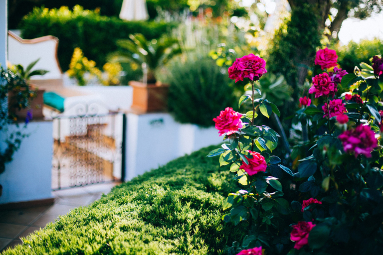 Exterior & Views, IL Giardino Dell'Arte - Guest House, Napoli