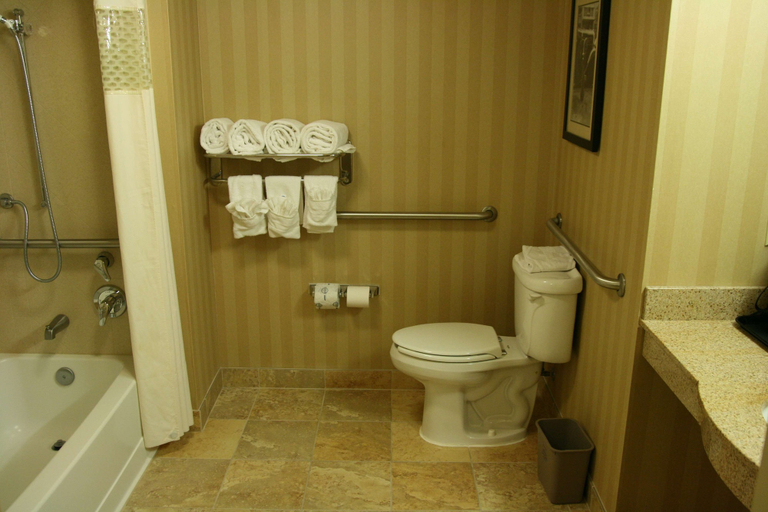 Bathroom 5, Hampton Inn & Suites Mobile Providence Park/Airport, Mobile