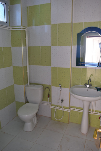 Bathroom 3, Hotel Cote Ouest, Mezghrane
