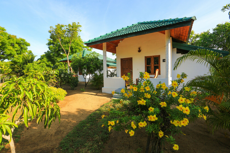 Exterior & Views 3, Paper Moon Kudils, Pothuvil
