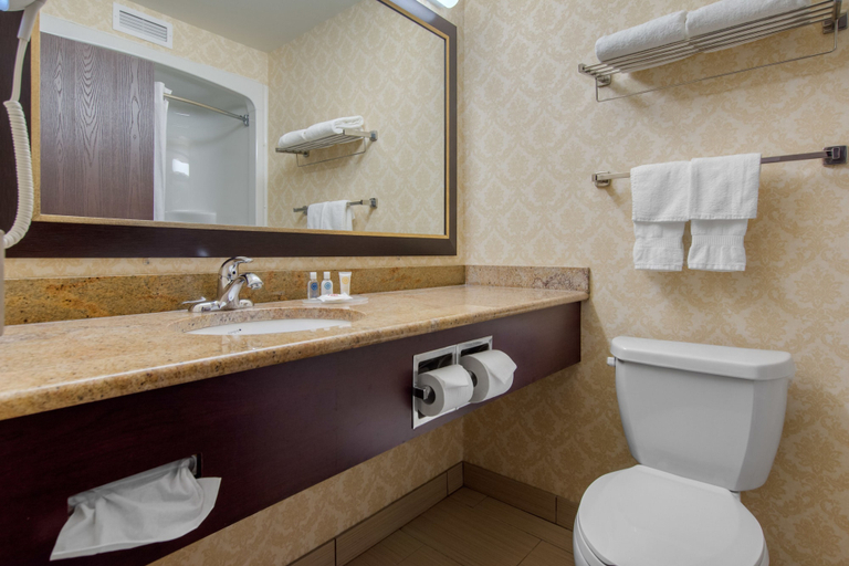 Bathroom 5, Comfort Inn & Suites Levis / Rive Sud Quebec city, Les Chutes-de-la-Chaudière