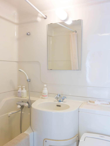 Bathroom 3, Tosagyoen, Kōchi