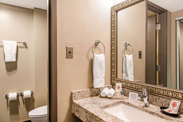Bathroom 4, Comfort Inn Largo-Washington DC East, Prince George's