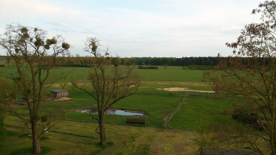 Others 4, Domäne-Badetz, Anhalt-Bitterfeld