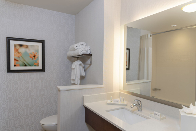 Bathroom 5, Fairfield Inn & Suites by Marriott Indianapolis Carmel, Hamilton