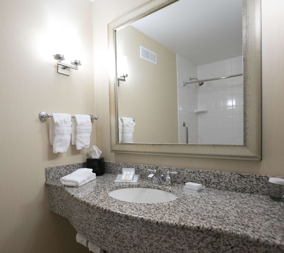 Bathroom 5, Hilton Garden Inn Lakeland, Polk