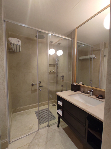 Bathroom 5, Taj Tirupati, Chittoor