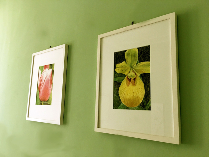 Food & Drinks, B&B Calisto 6, Rome